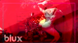 #Blux Girlfriend
