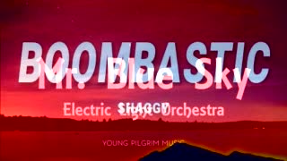 Mr Boombastic Sky