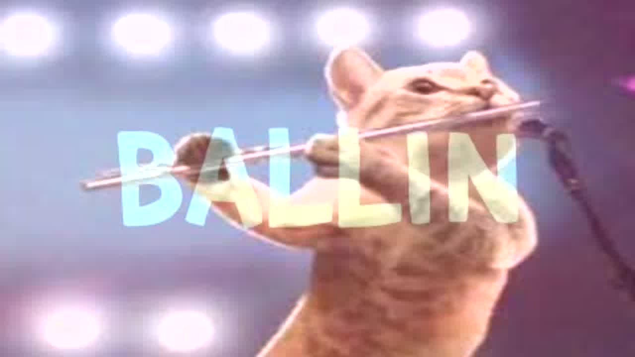 Ballin Ballin Cat Goes Hard, Trust - RaveDJ