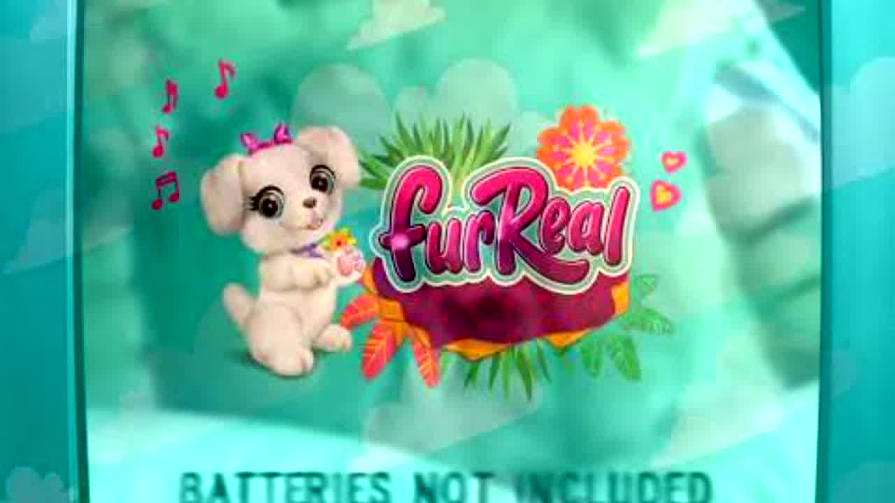 Are Included? My Dancin Pup - RaveDJ