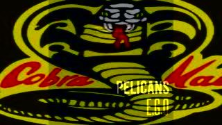Pelicans X Pelicans