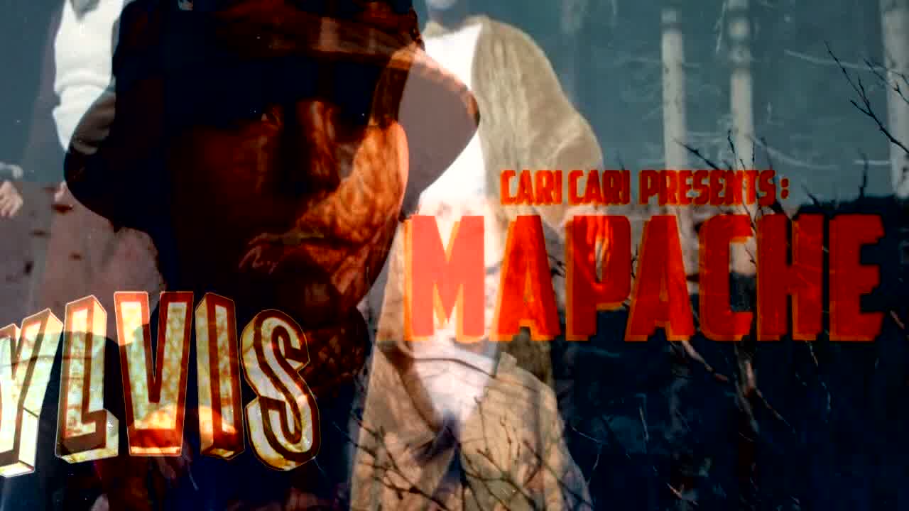 The Mapache - RaveDJ