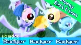 Noses Badger Badger