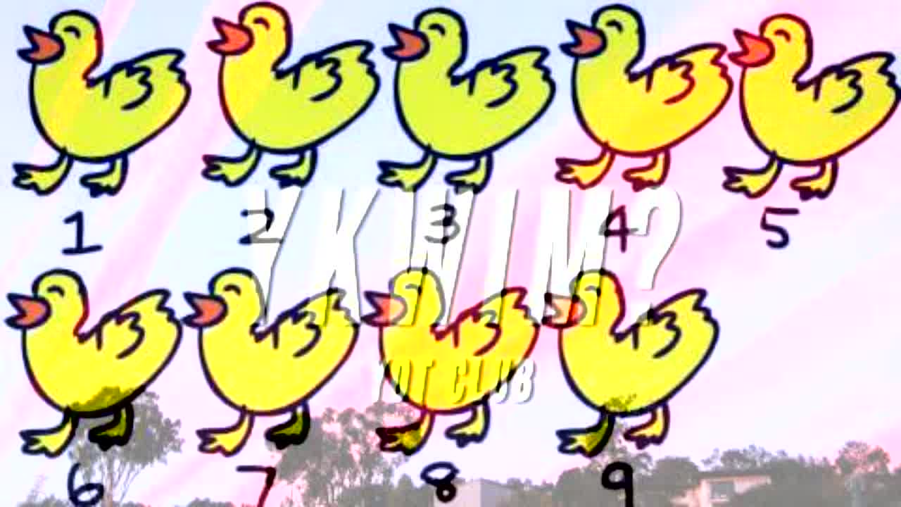 Ykwim? Song For Children, Toddlers - RaveDJ