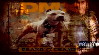 Dmx Hood At A Szél Cinege, Cinege