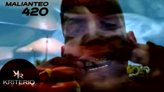 Paradise 420 Rkt