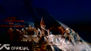 Performance Is A Video