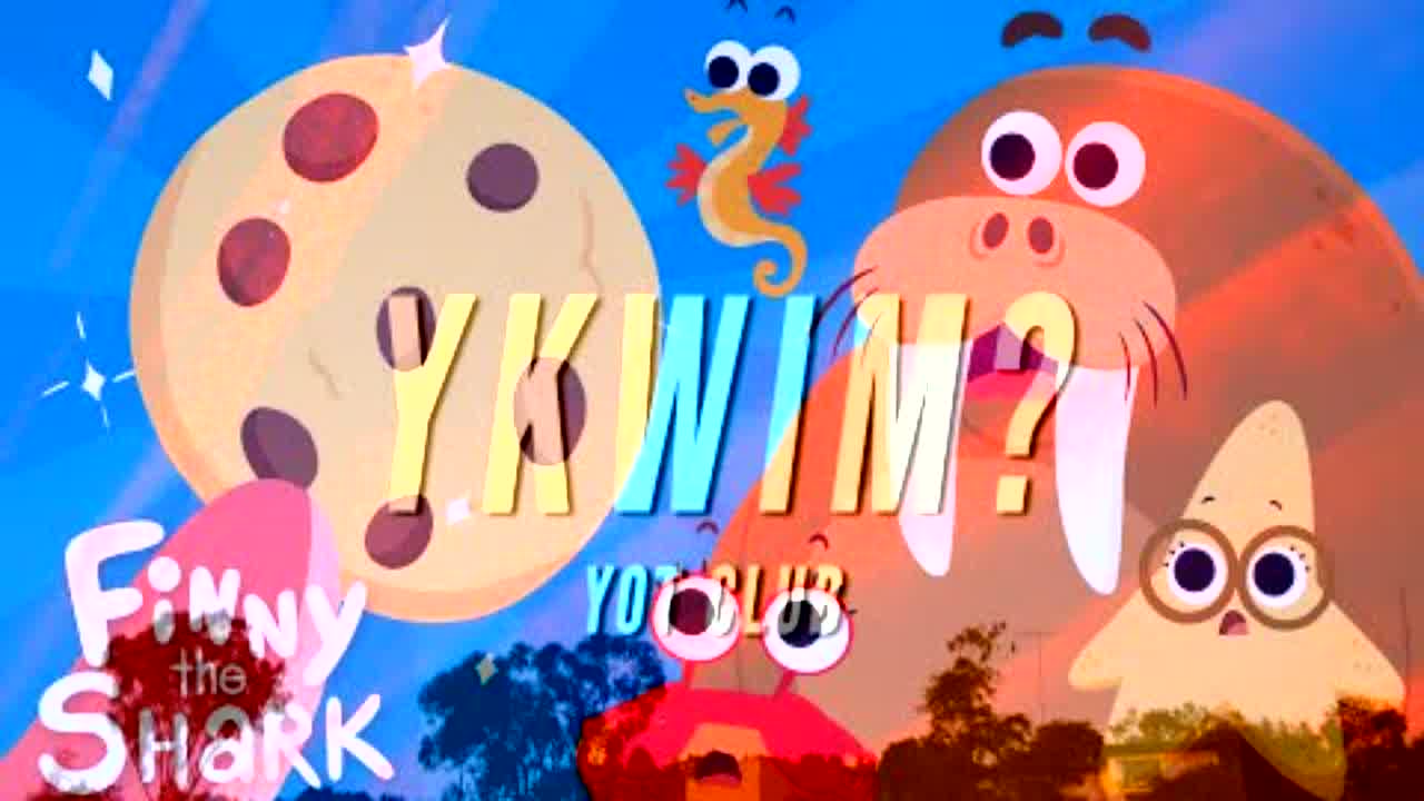 Finny The Ykwim? - RaveDJ