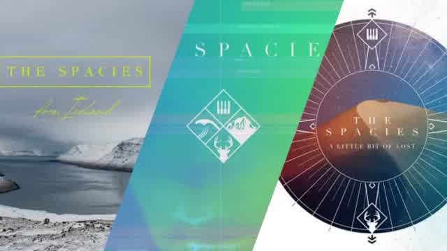 This Is The Spacies