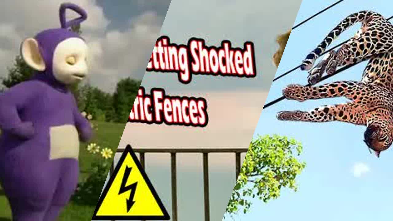 Teletubbies Animals Getting Shocked Mixtape - RaveDJ