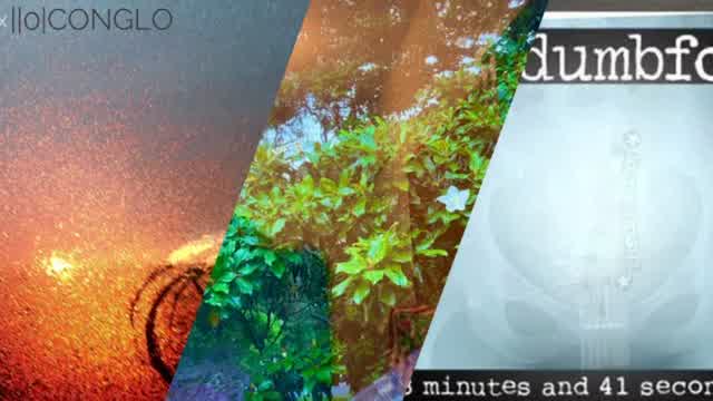 Dumbfox Conglo Mixtape