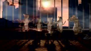 Rats Land Mixtape
