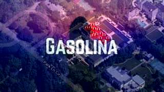 Nolina Like Us