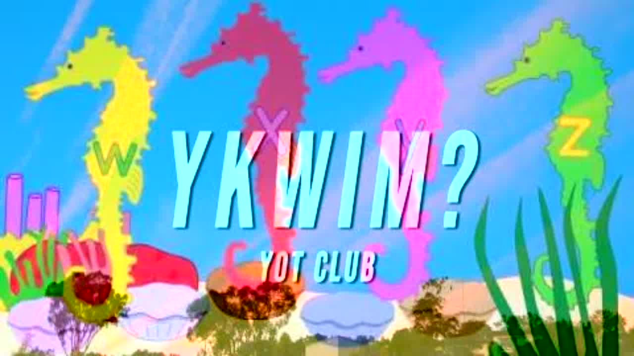 Ykwim? Song In The Sea - RaveDJ