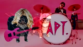 Oiiaoiia Cat X Not Like Us