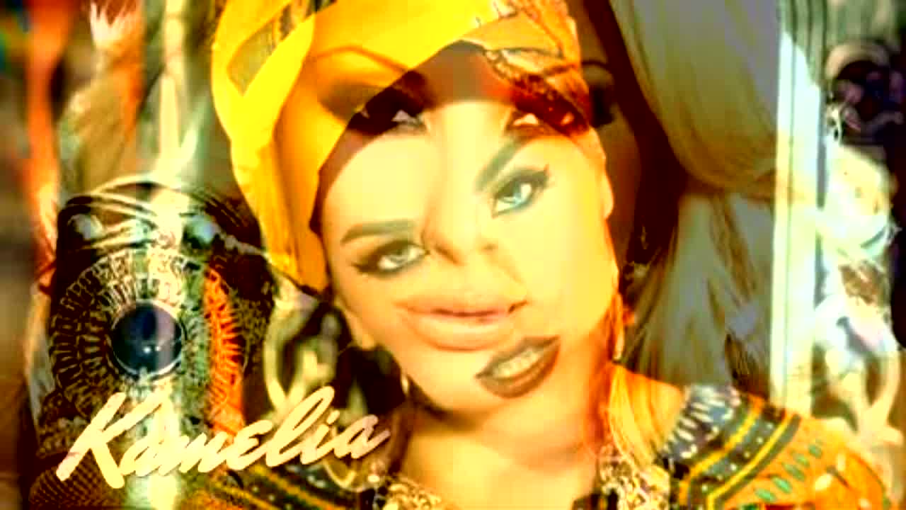 Video Pink - RaveDJ