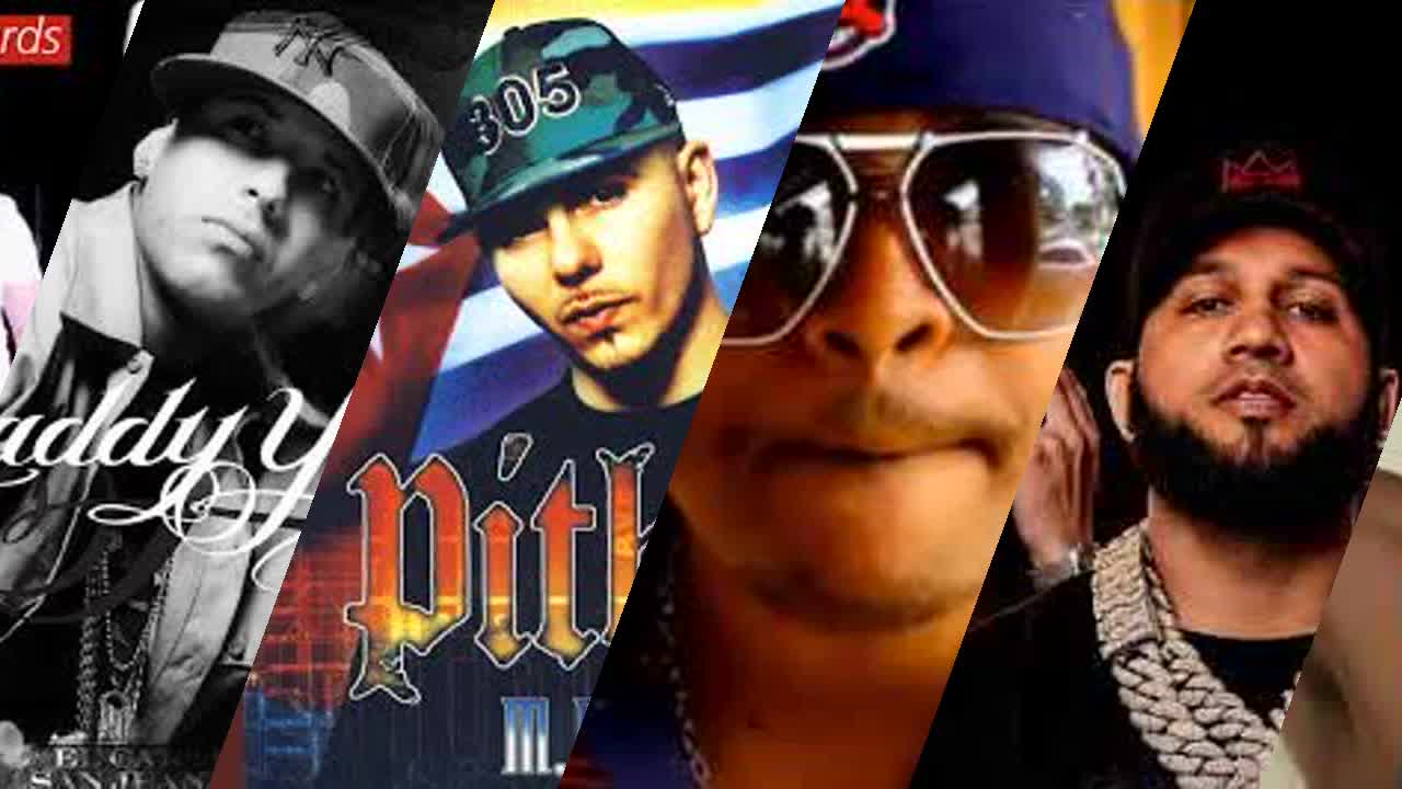 Pitbull Reggaeton Mixtape - RaveDJ