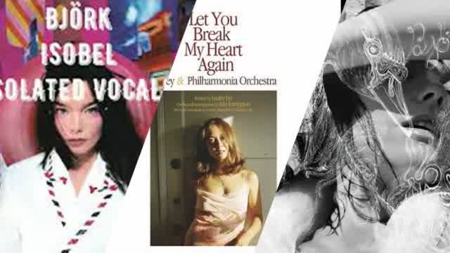 Bjork Vocals Only Minimix