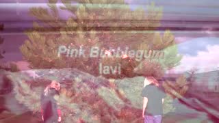 Machine Bubblegum Lavi