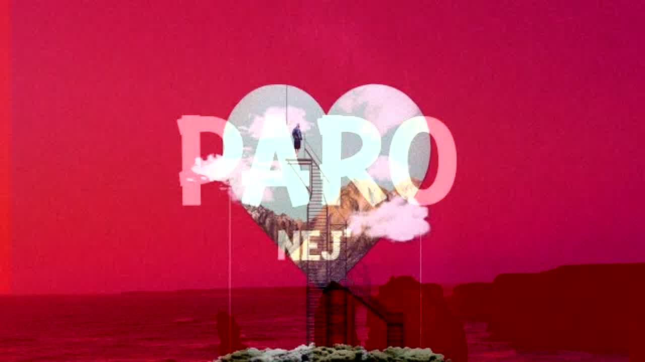 Paro X Wishes - RaveDJ