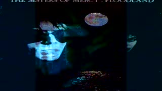 Testure Of Mercy ~ Flood Ii