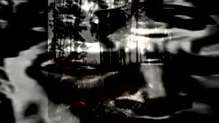 Slowed Nihilist
