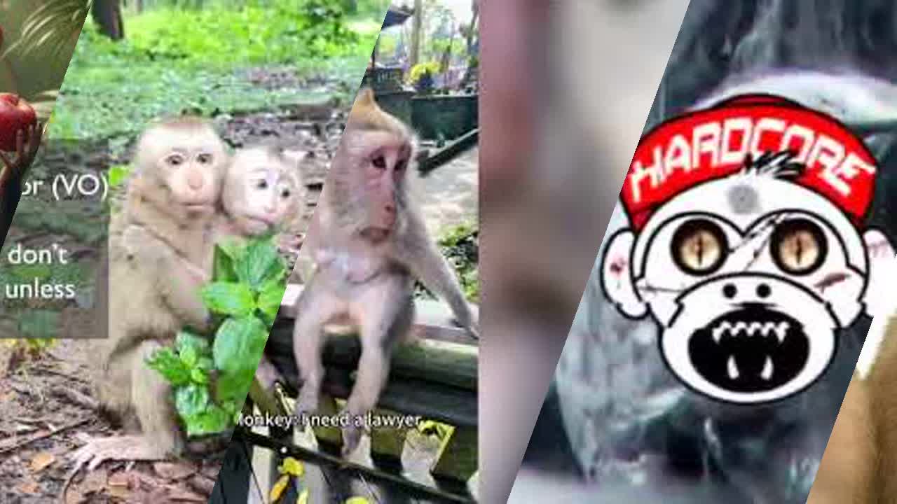 Monkey Mixtape - RaveDJ