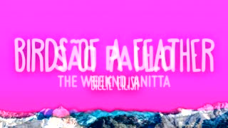 Paulo Of A