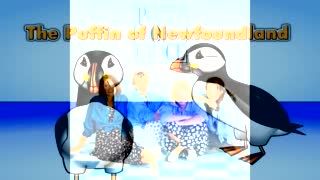 Newfoundland And Love