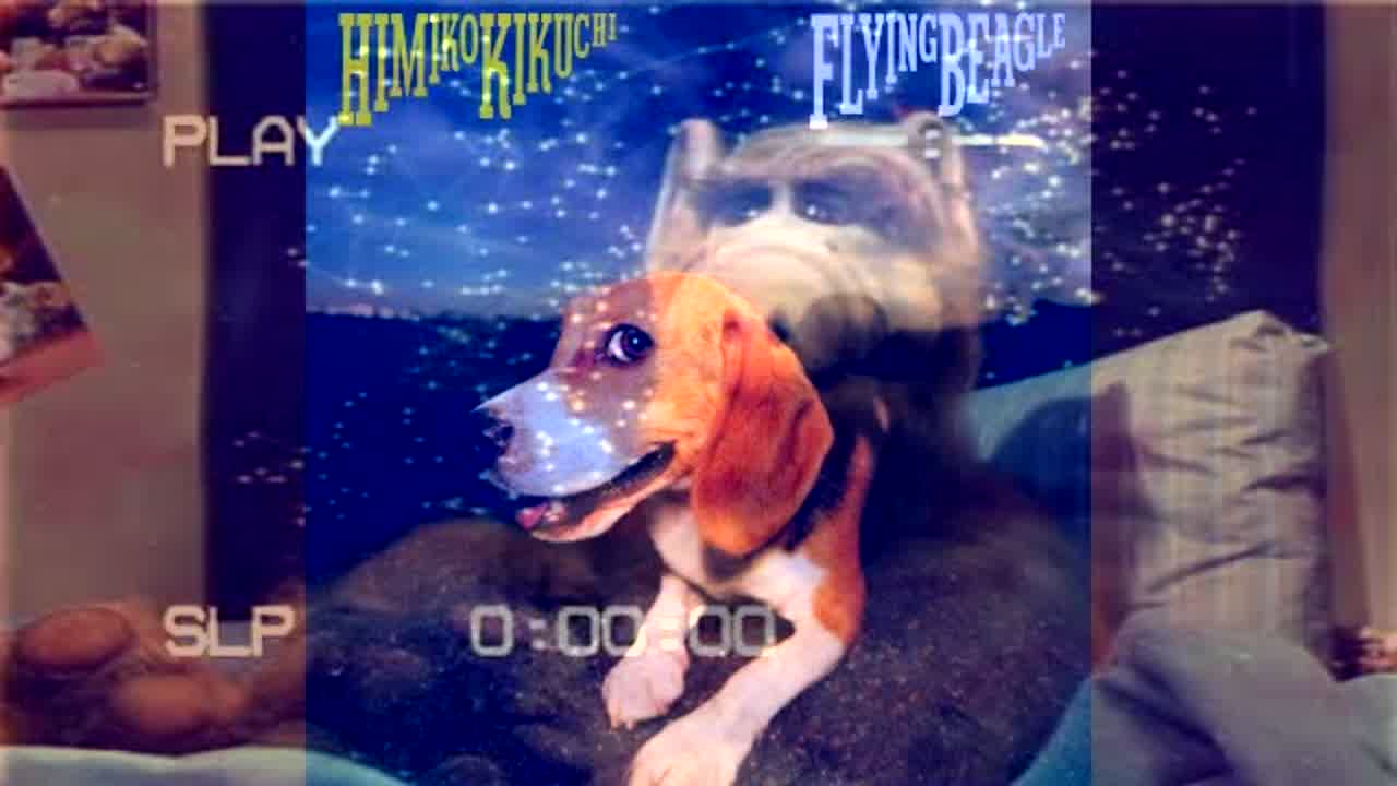 Beagle Theme Song - RaveDJ